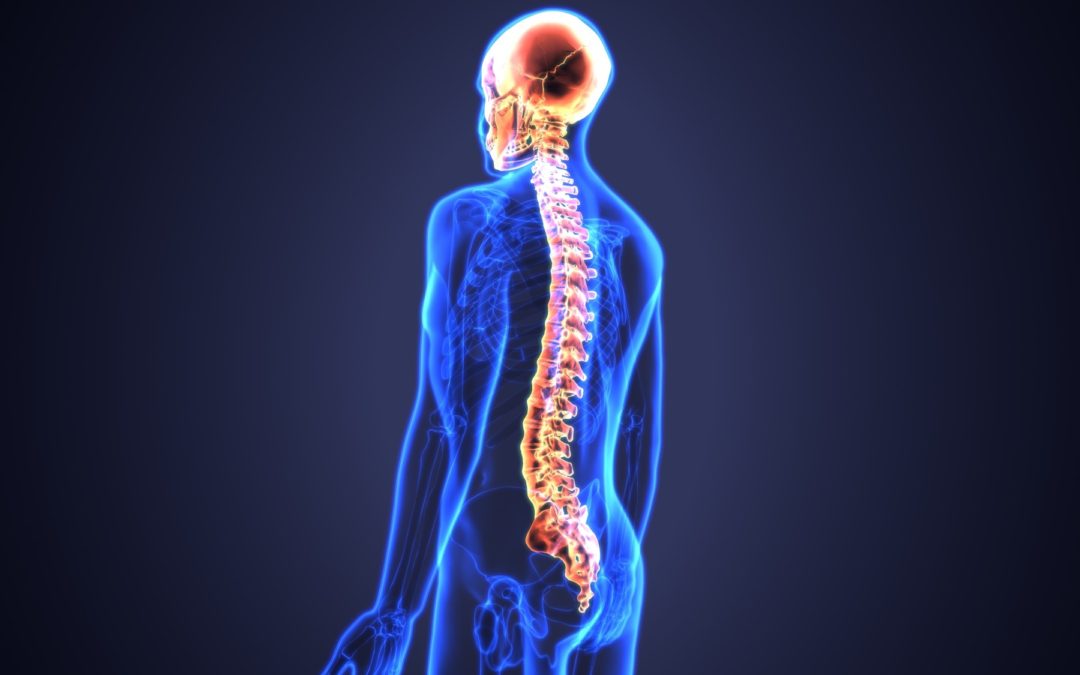The Best Chiropractic Care Tips for Optimal Spine Health