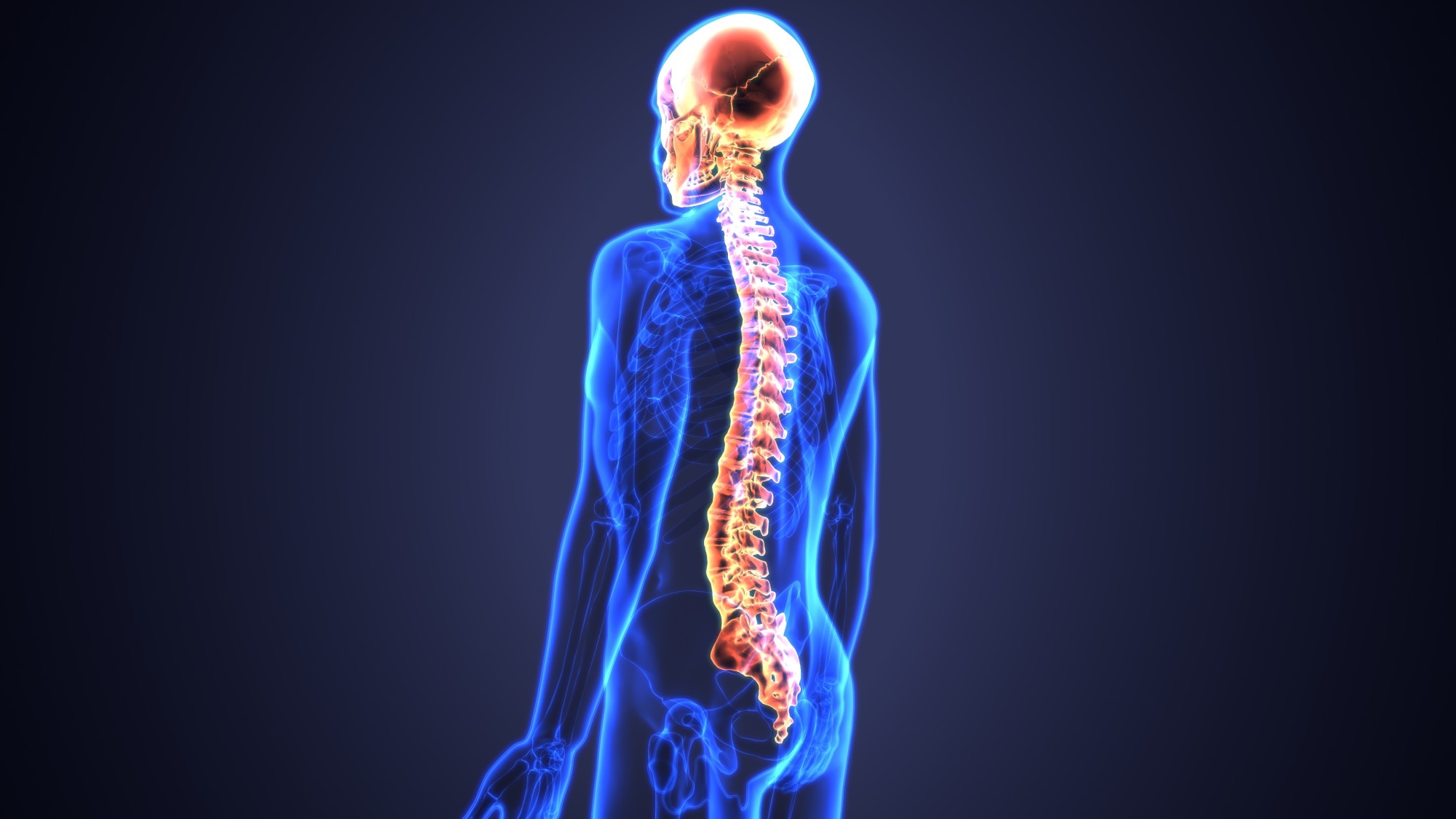 The Best Chiropractic Care Tips For Optimal Spine Health