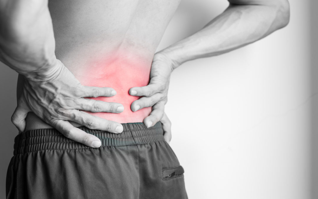 Lower Back Pain Causes, Symptoms, Diagnosis In 10 Minutes Or Less.  thumbnail