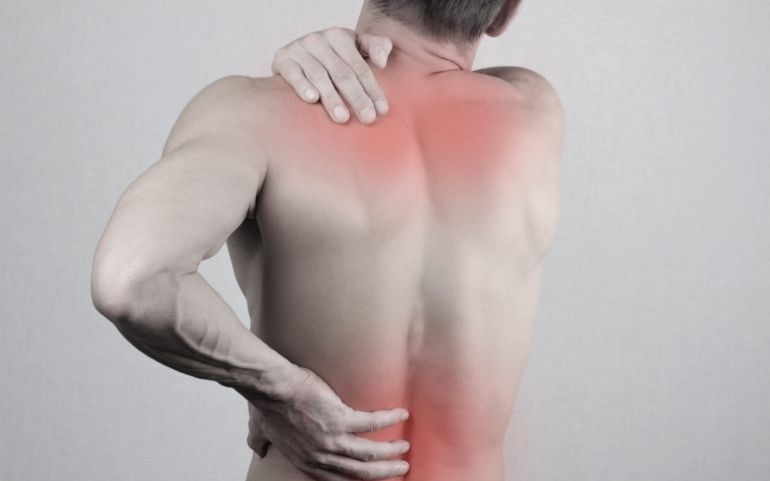 8 Best Exercises to Do for Lower Back Pain Relief